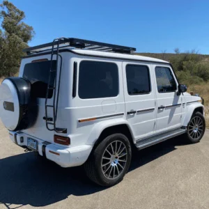 Roof Access Ladder