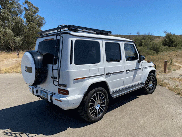 Roof Access Ladder