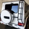 Rear Access Ladder