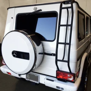 Rear Access Ladder